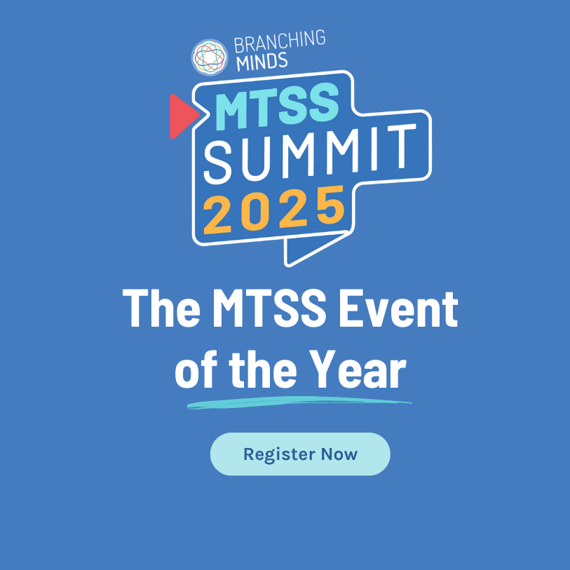 2025 Virtual MTSS Summit (preview)