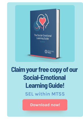 social-emotional-learning-guide