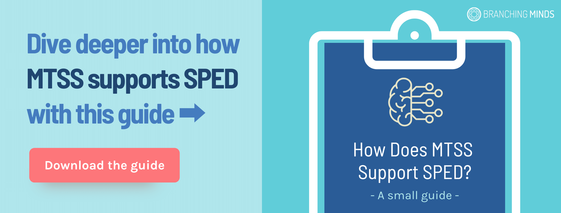 sped-mtss-guide