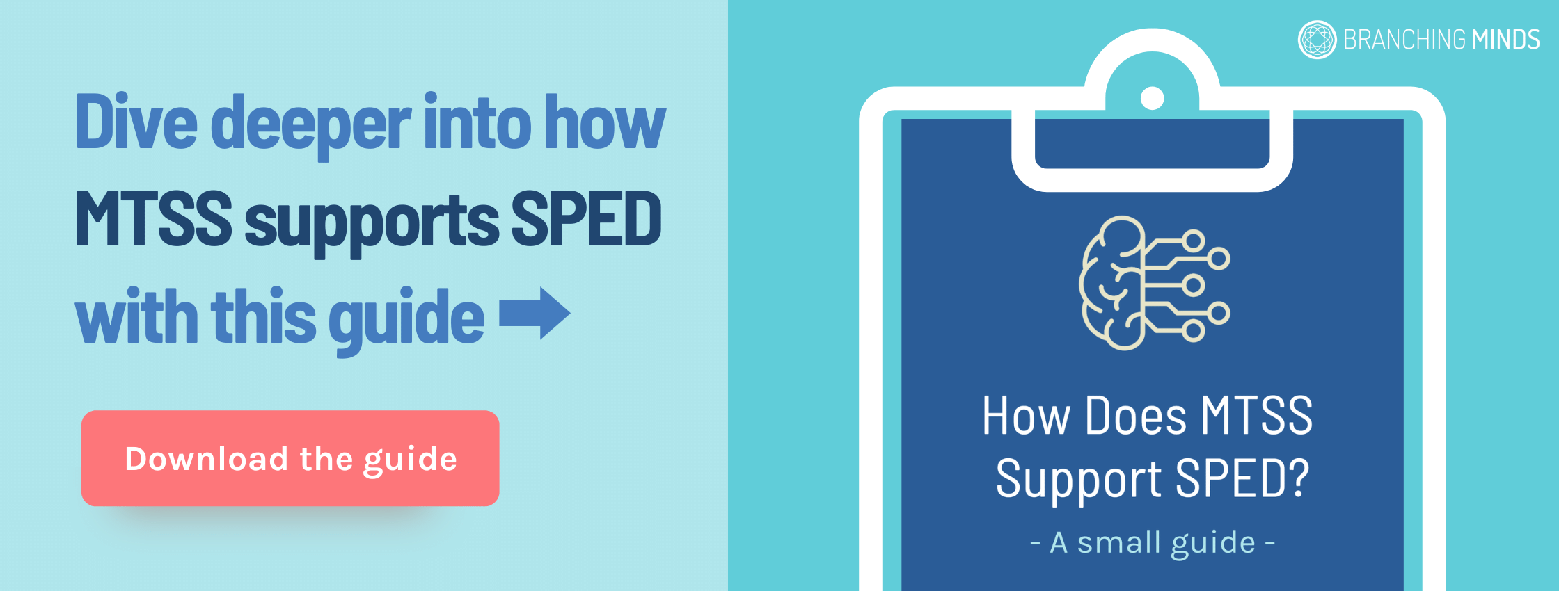 MTSS SPED Guide