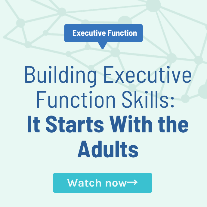 Executive function Webinar