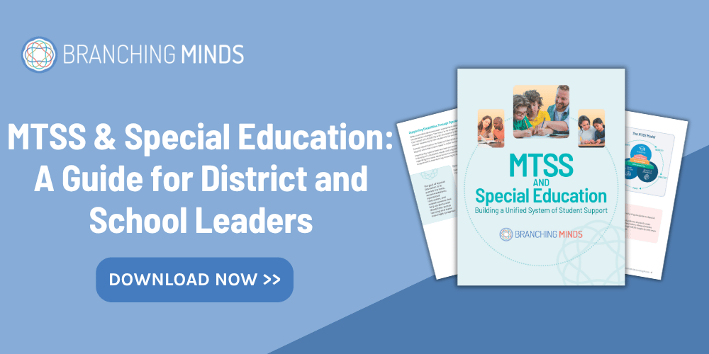 MTSS & Special Education A Guide for District and School Leaders (preview)