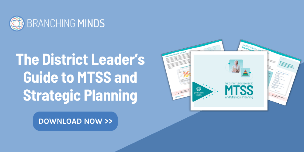 The District Leader’s Guide to MTSS and Improvement Planning (preview)