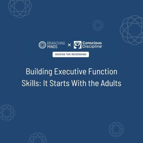 Building Executive Function Skills It Starts With the Adults