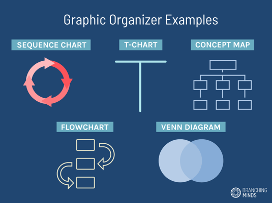 MTSS graphic organizer