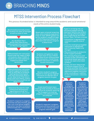 MTSS Intervention Process Flowchart