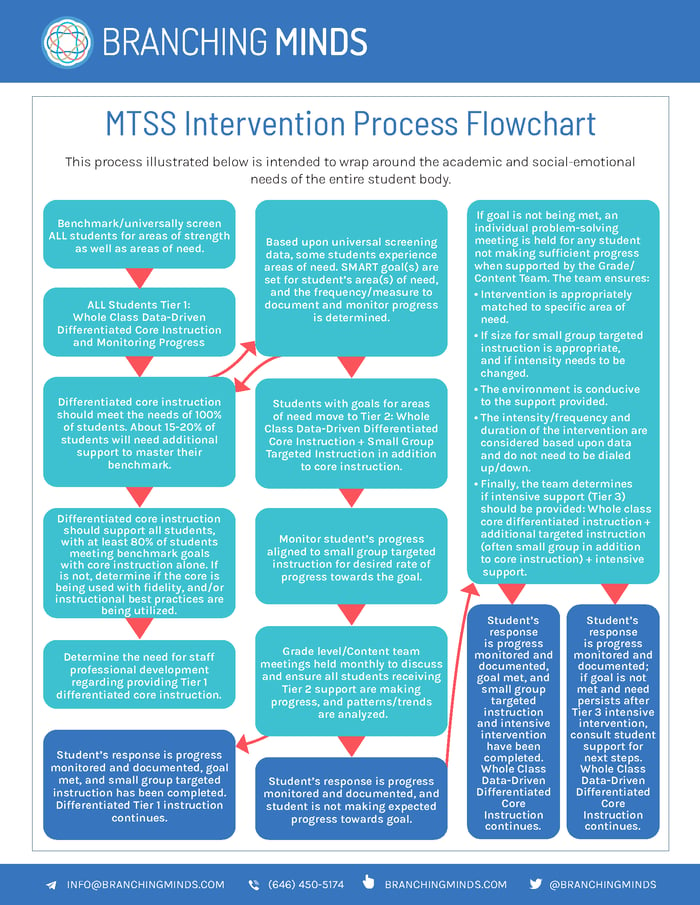 MTSS Intervention Process