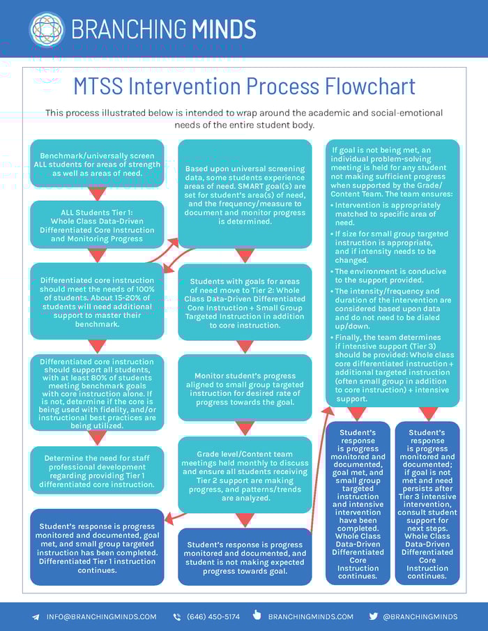 MTSS Intervention Process