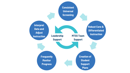 MTSS cycle 