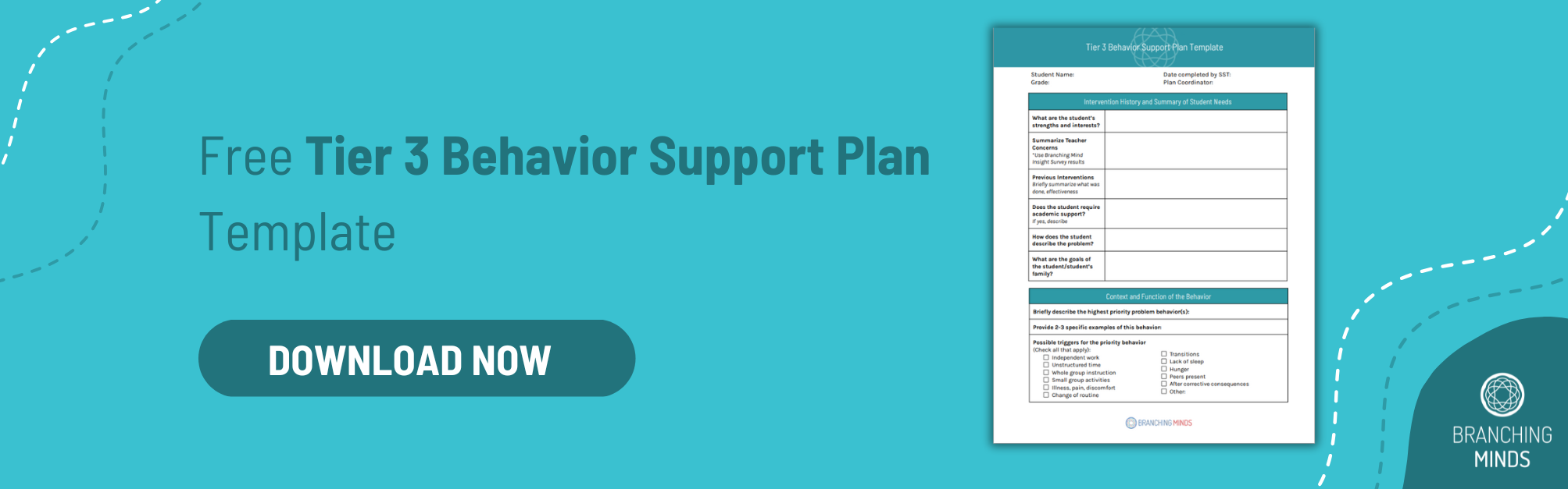 Tier 3 Behavior Support Plan Template