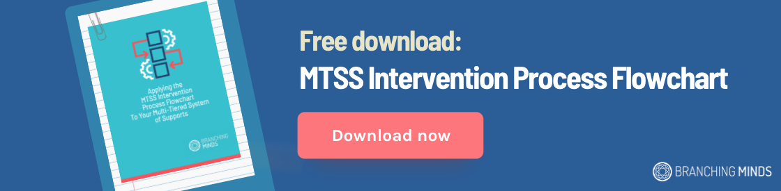 mtss-intervention-process-guide