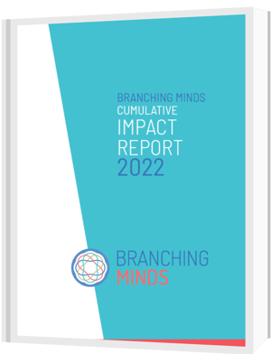 BRM impact report-1