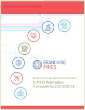 MTSS mobilization framework