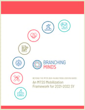 MTSS mobilization framework