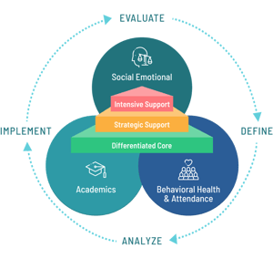 MTSS cycle