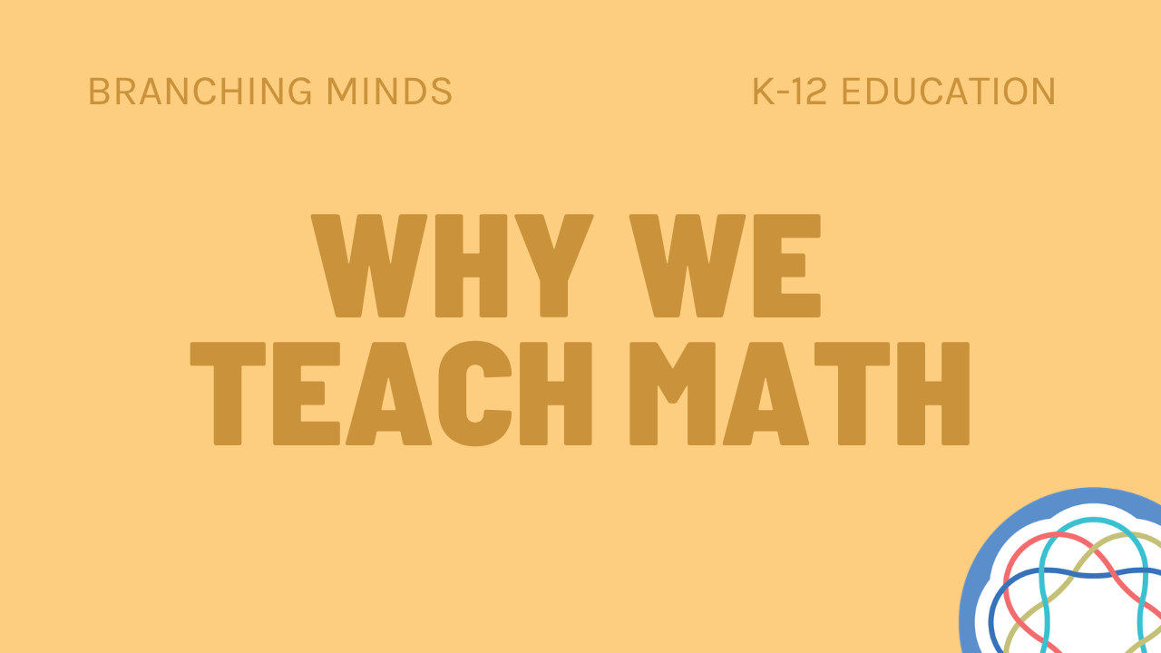 Why We Teach Math