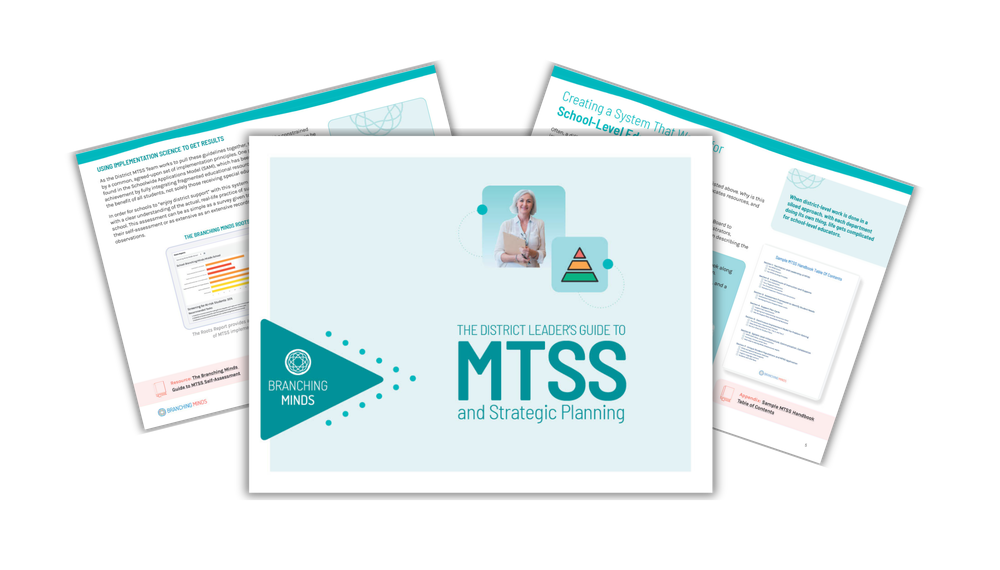 The District Leader’s Guide to MTSS and Strategic Planning