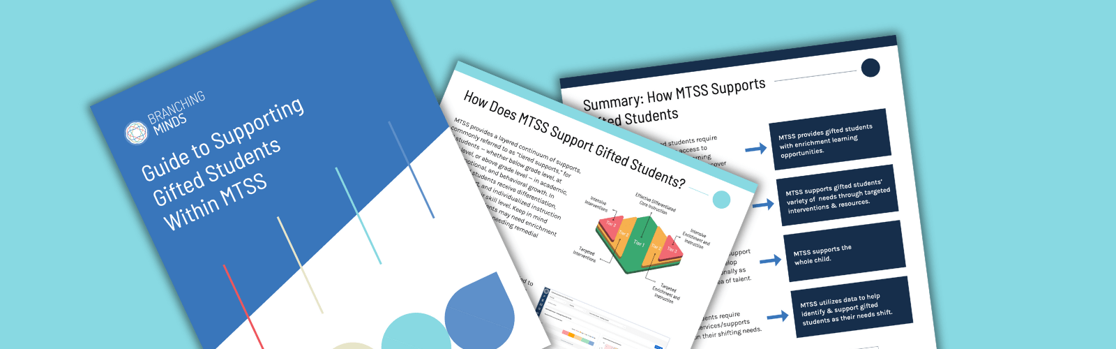 Guide to Supporting Gifted Students within MTSS-min
