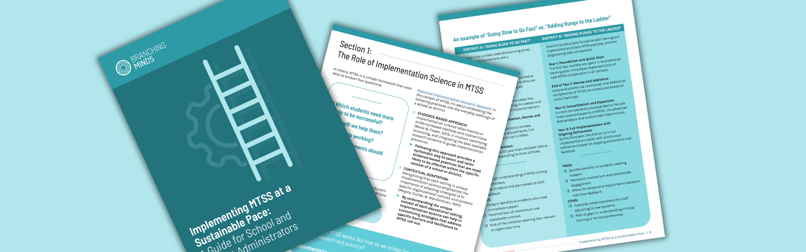 Implementing MTSS at a Sustainable Pace A Guide for School and District Administrators (1)-min