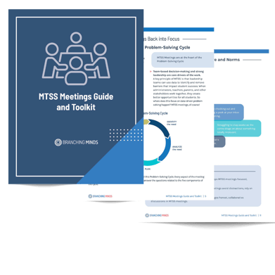 MTSS Meeting Guide 