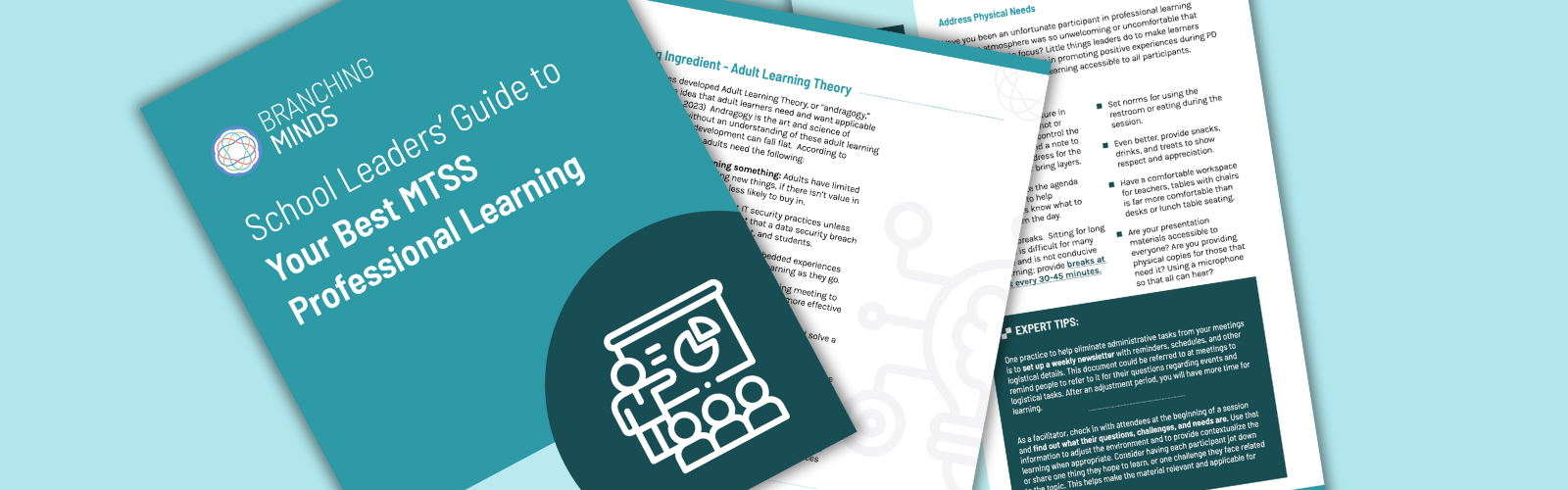 School Leaders’ Guide to Your Best MTSS Professional Learning