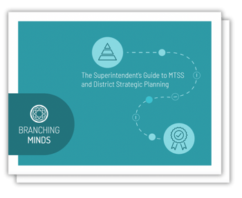 The Superintendent's Guide to MTSS