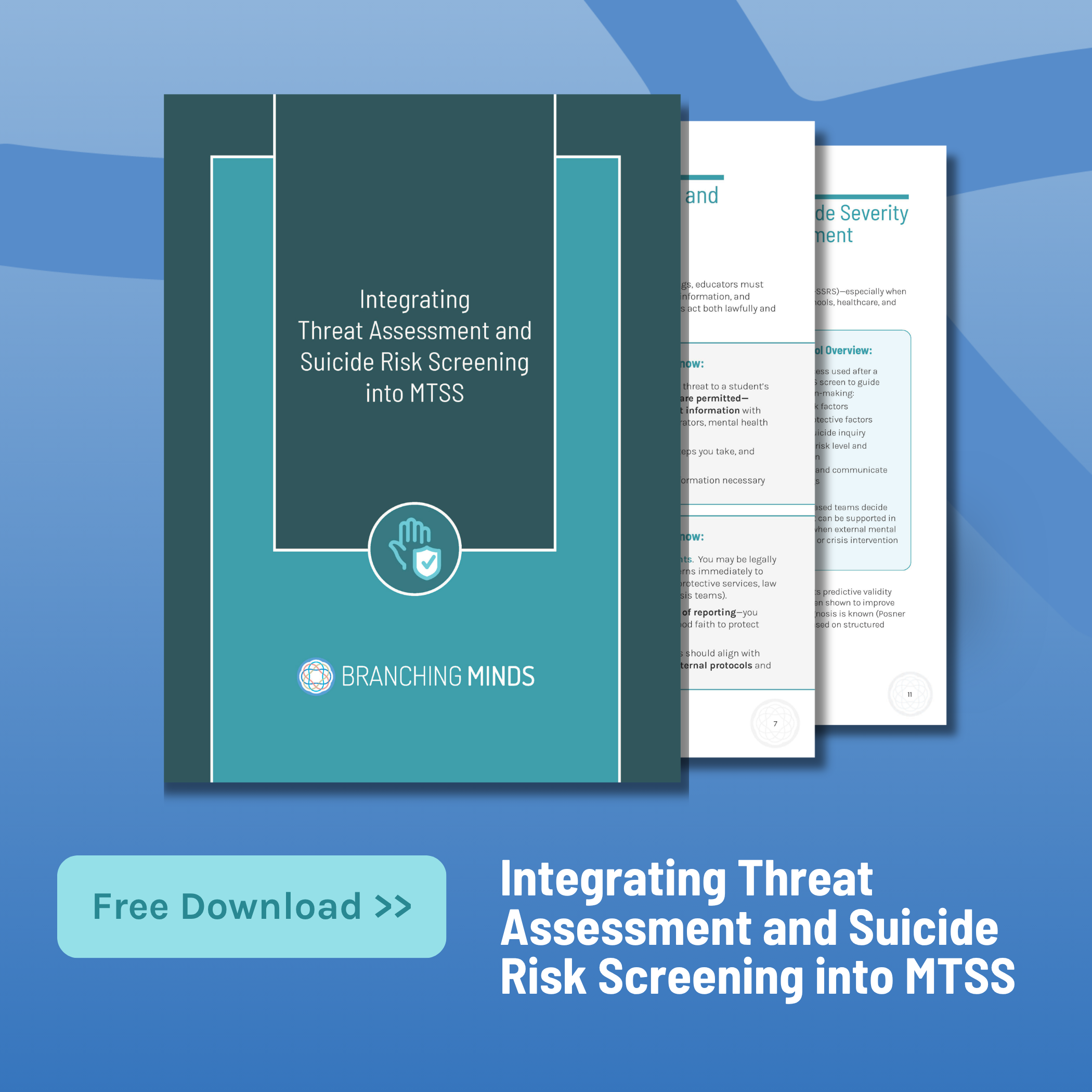 Threat Assessment Guide