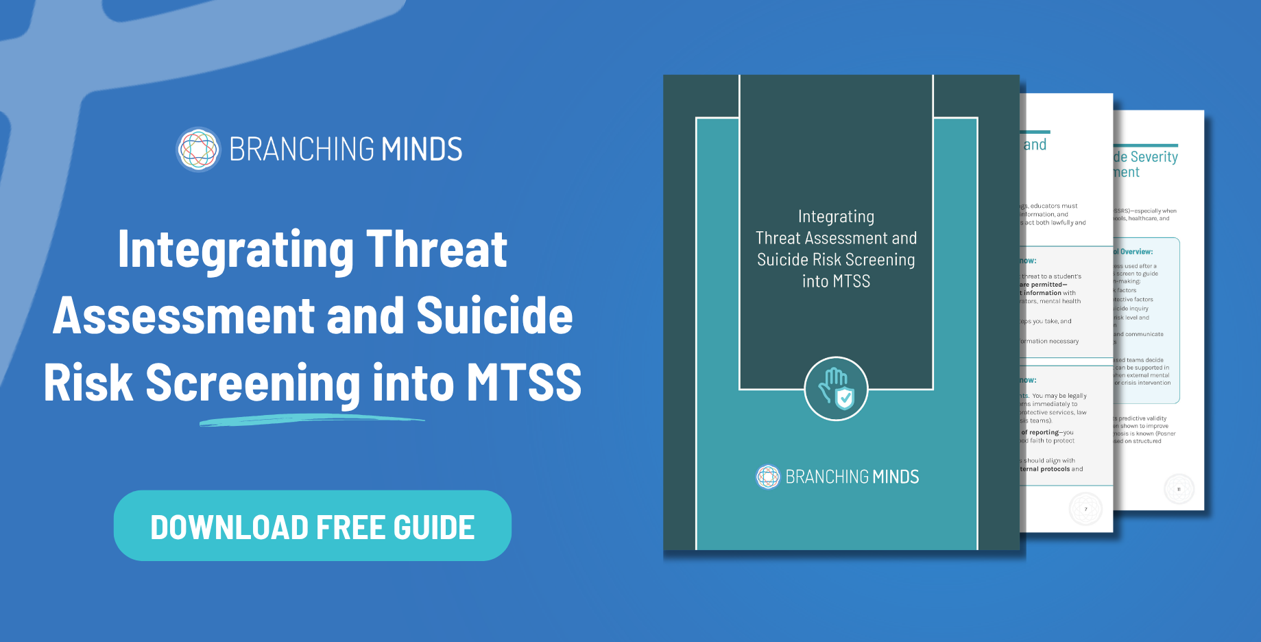 Threat assessment