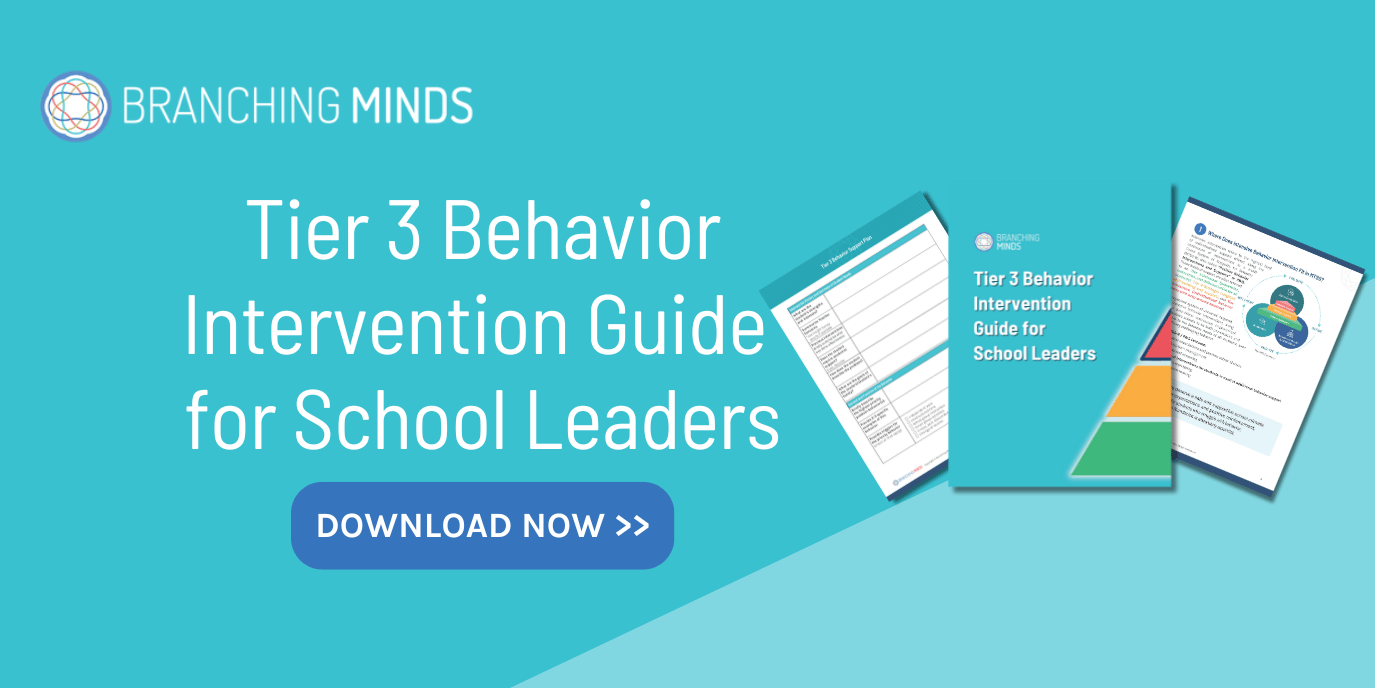 Tier 3 Behavior Intervention Guide for School Leaders (preview)