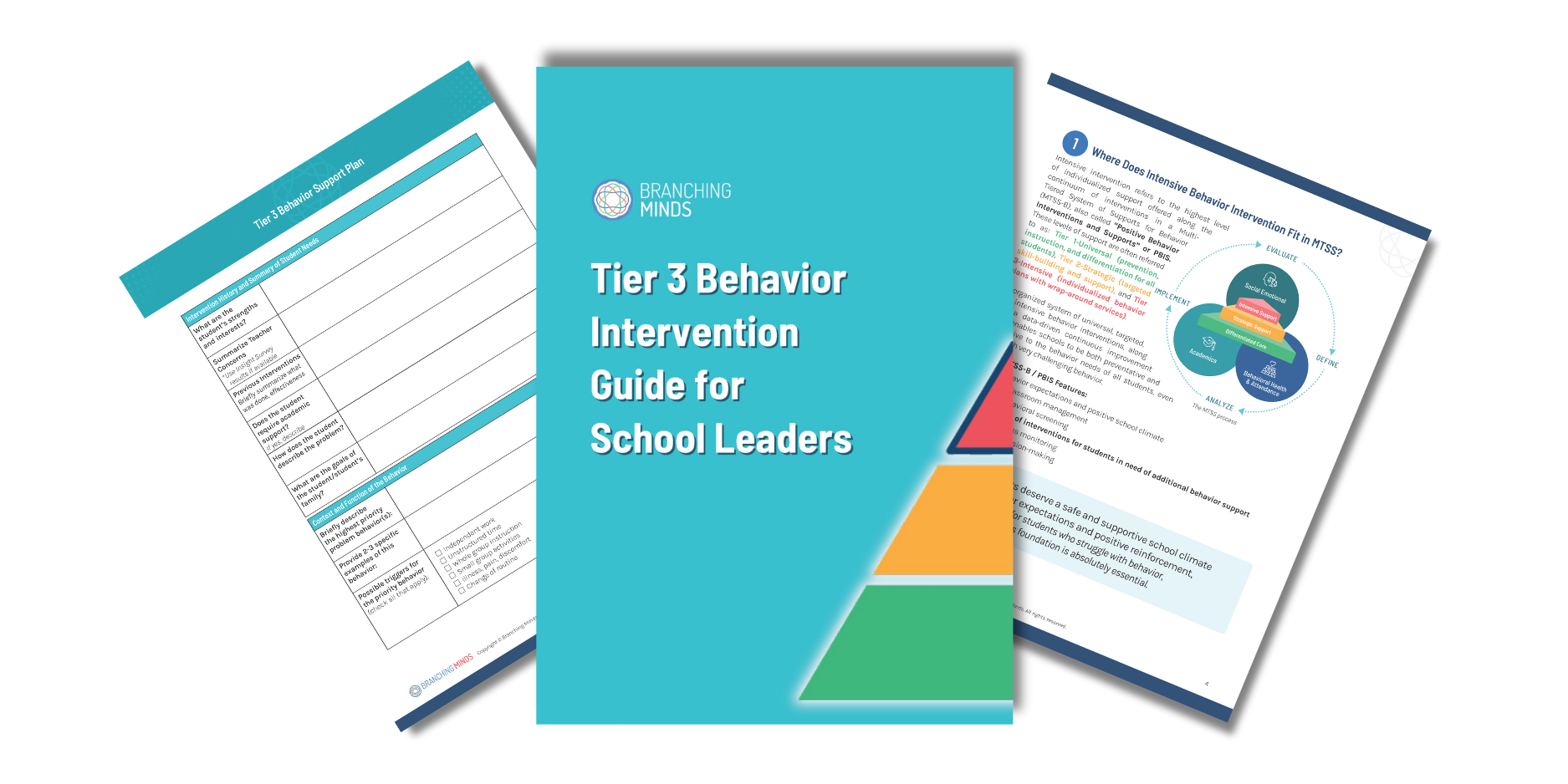 Tier 3 Behavior Intervention Guide