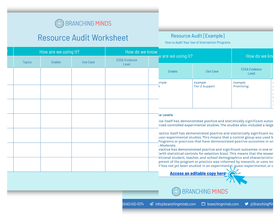 Worksheet Audit MTSS 