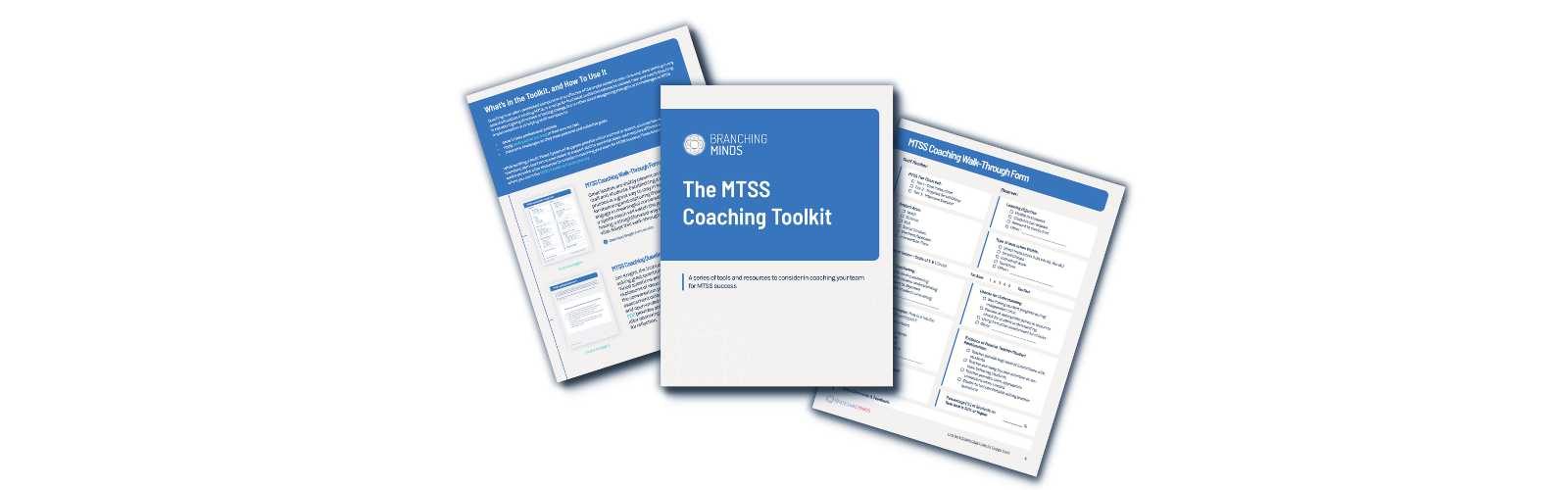 The MTSS Coaching Toolkit