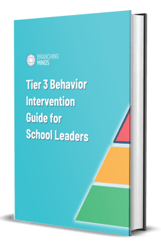 tier 3 behavior intervention guide mtss