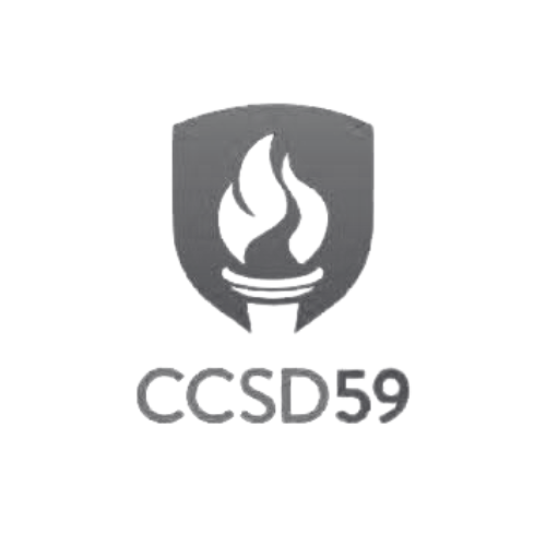 ccsd-branching-minds-mtss-gray (2)