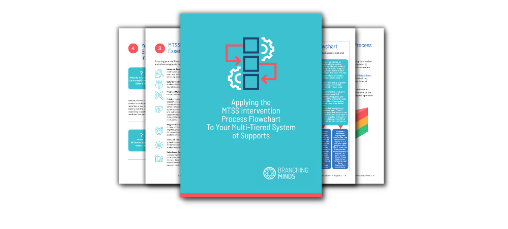 MTSS Intervention Flowchart