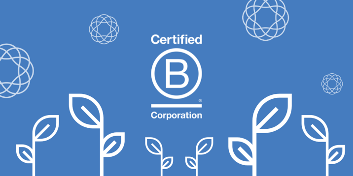 A B-Corps From the Beginning: Staying True to Our Values & Growing Into the Future Image
