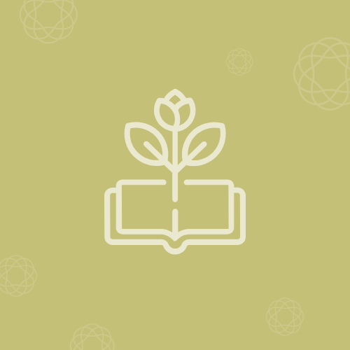 Addressing Foundational Reading Skills in MTSS Image