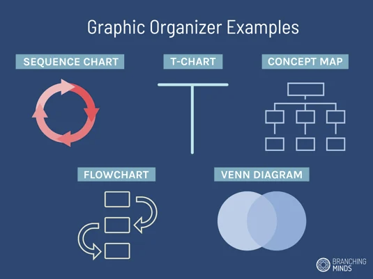 Graphic Organizer
