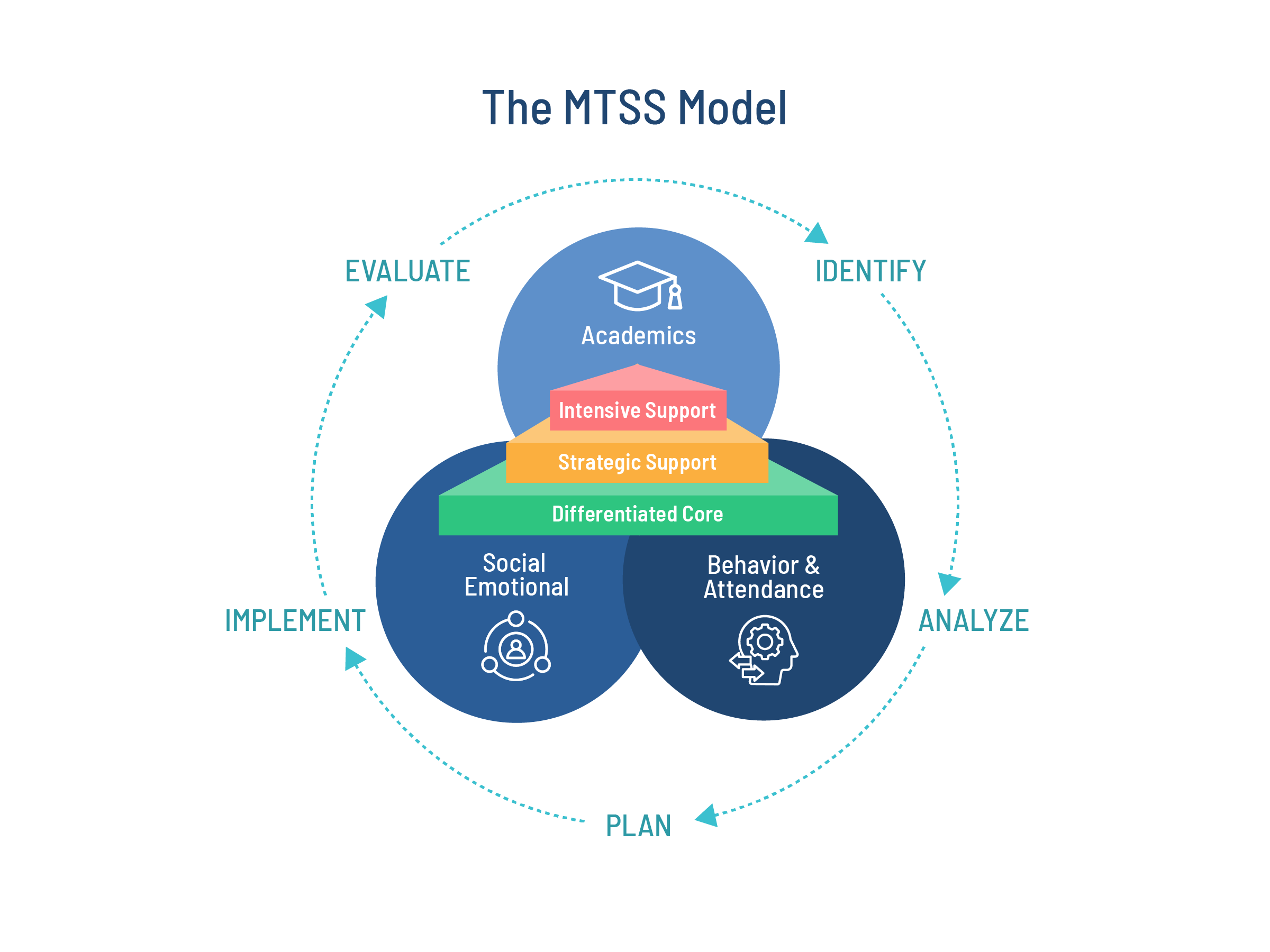 MTSS Cycle