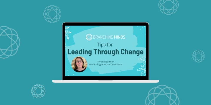 Leadership During Change and For Continuous Improvement - Video & Blog Image