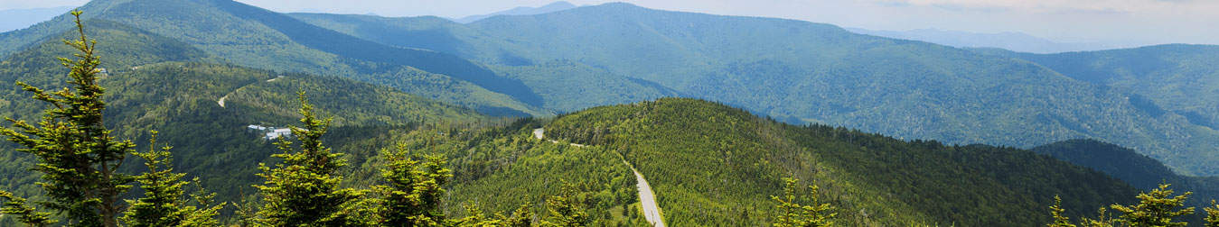 Reflections on the MTSS Journey of Greene County Schools, NC Image