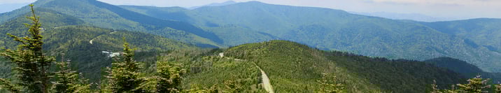 Reflections on the MTSS Journey of Greene County Schools, NC Image