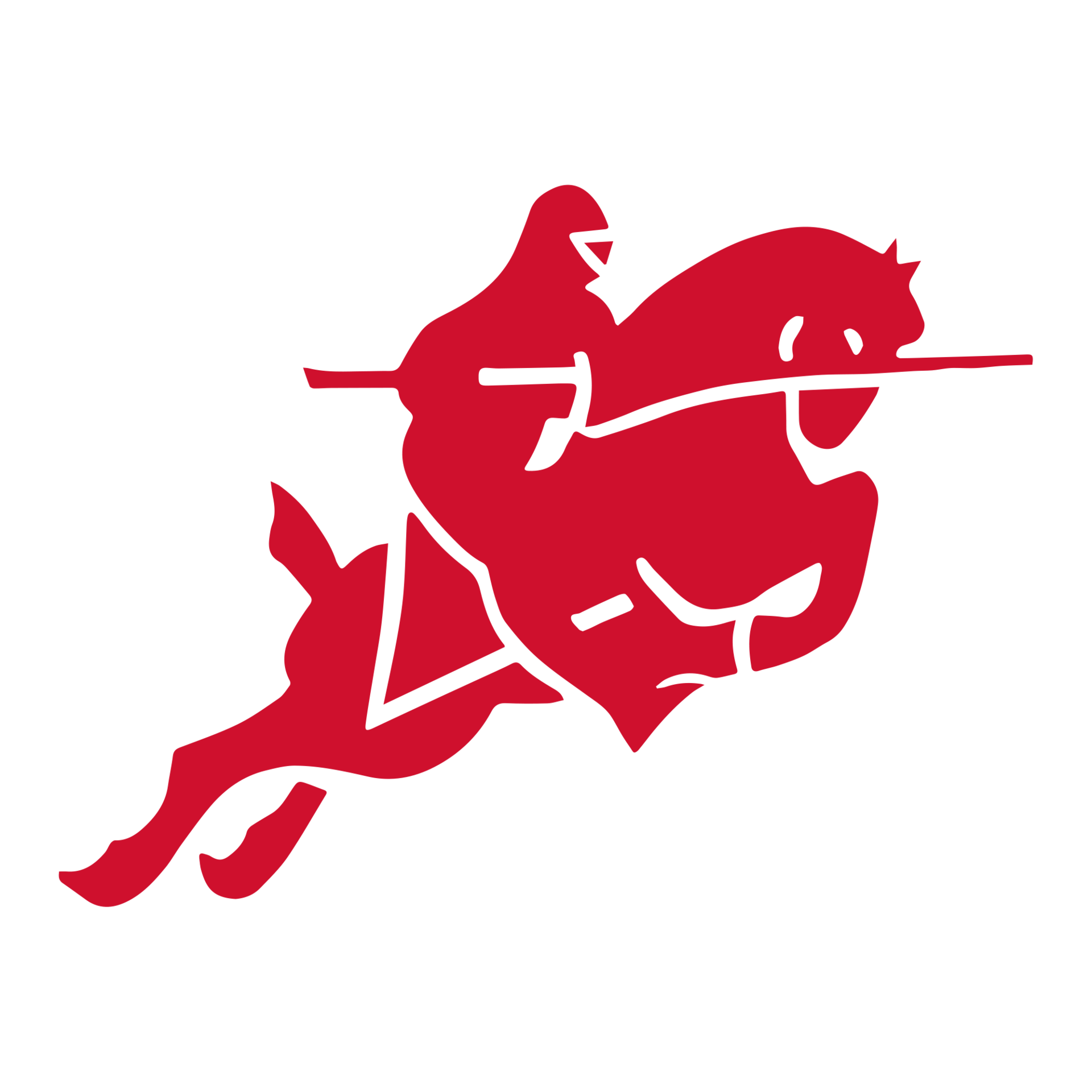Painesville City Local Schools logo