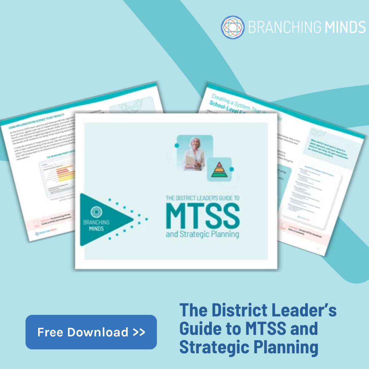 District Leader's Guide to MTSS and Strategic Planning