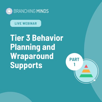 tier 3 behavior webinar part 1