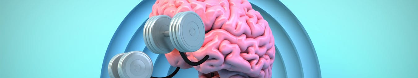 How To Cultivate Executive Functioning Skills For Students