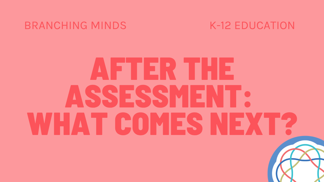 After the Assessment What Comes Next