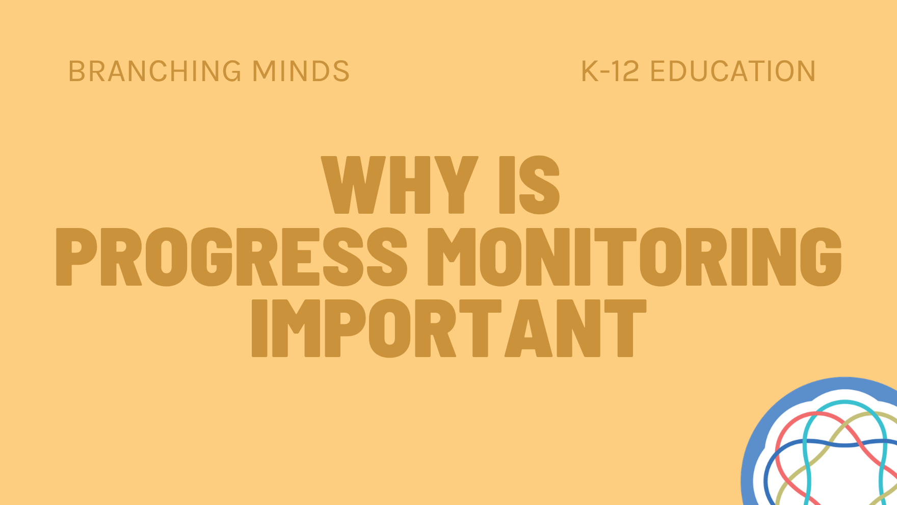 Why is  progress monitoring important