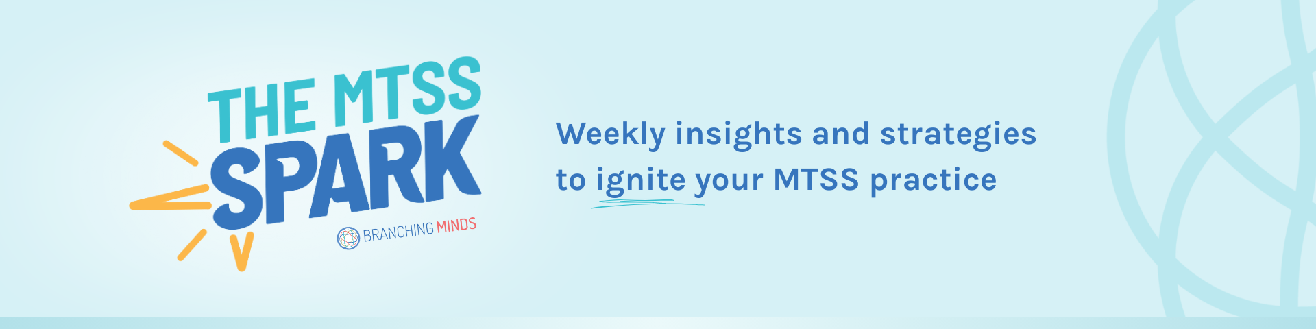 The MTSS Spark Newsletter