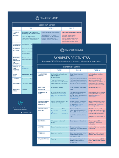 synopses mtss elementary secondary